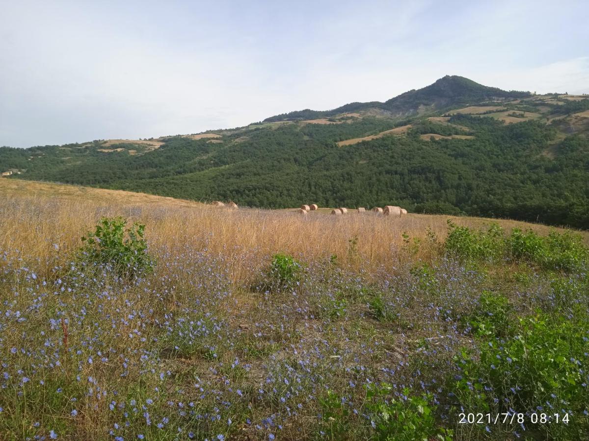 Due Principi E Una Fata Sestola Bagian luar foto